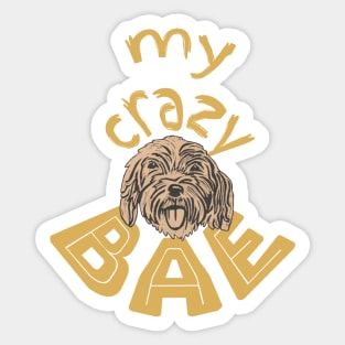 Cockapoo, My Crazy BAE! Sticker